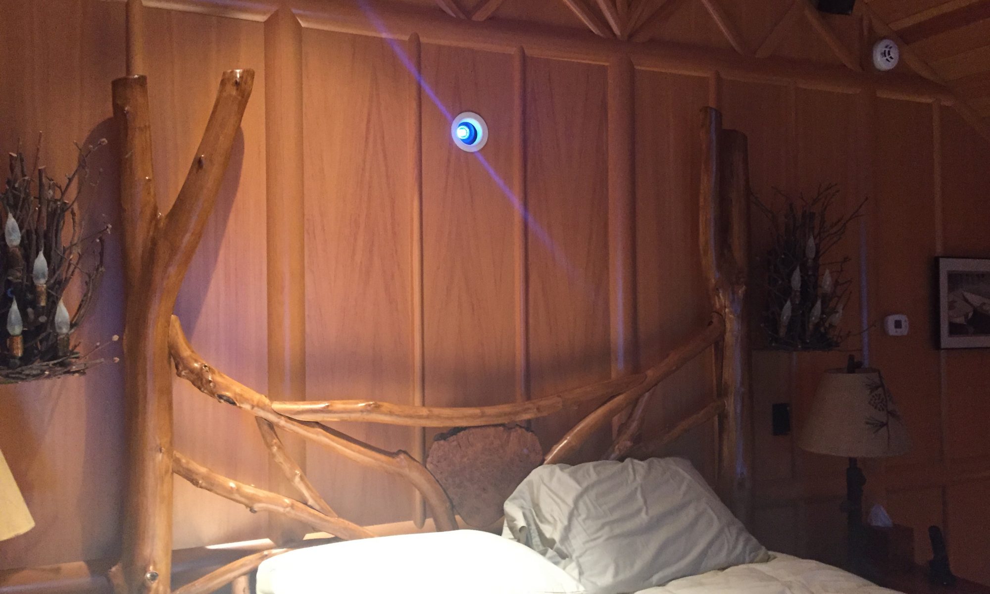 Projector and film screen